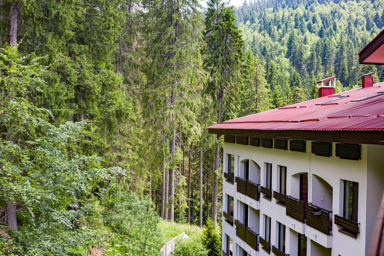 Forest Dream Apartment - Elit Pamporovo Exterior photo