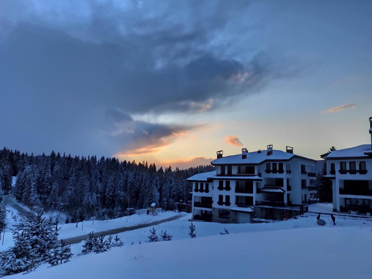 Forest Dream Apartment - Elit Pamporovo Exterior photo